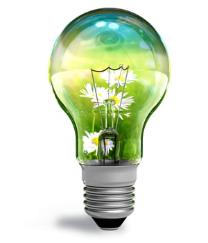 lightbulb with flowers and green grass inside